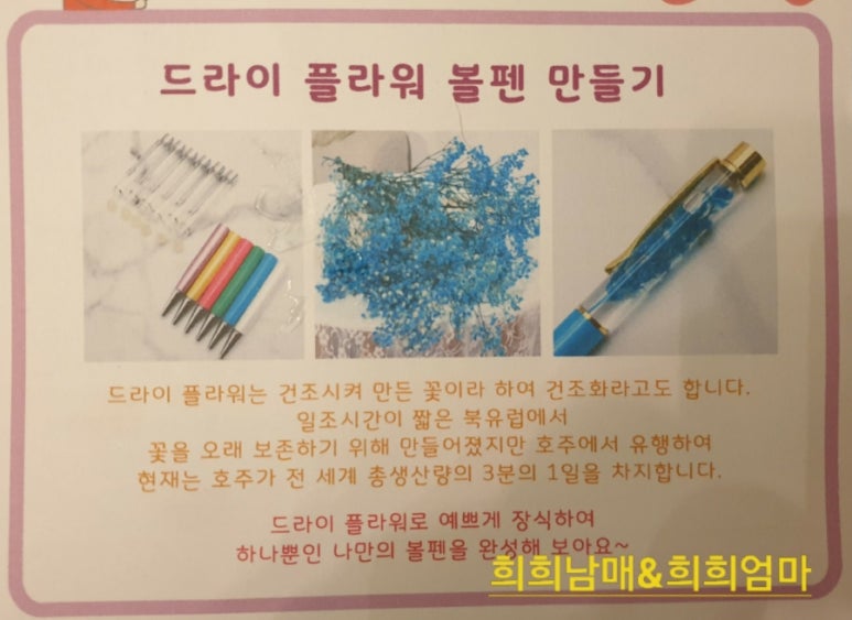 일조플라워 이미지