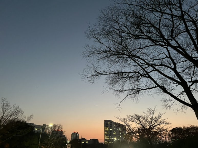 아마스빈 조선대점 이미지