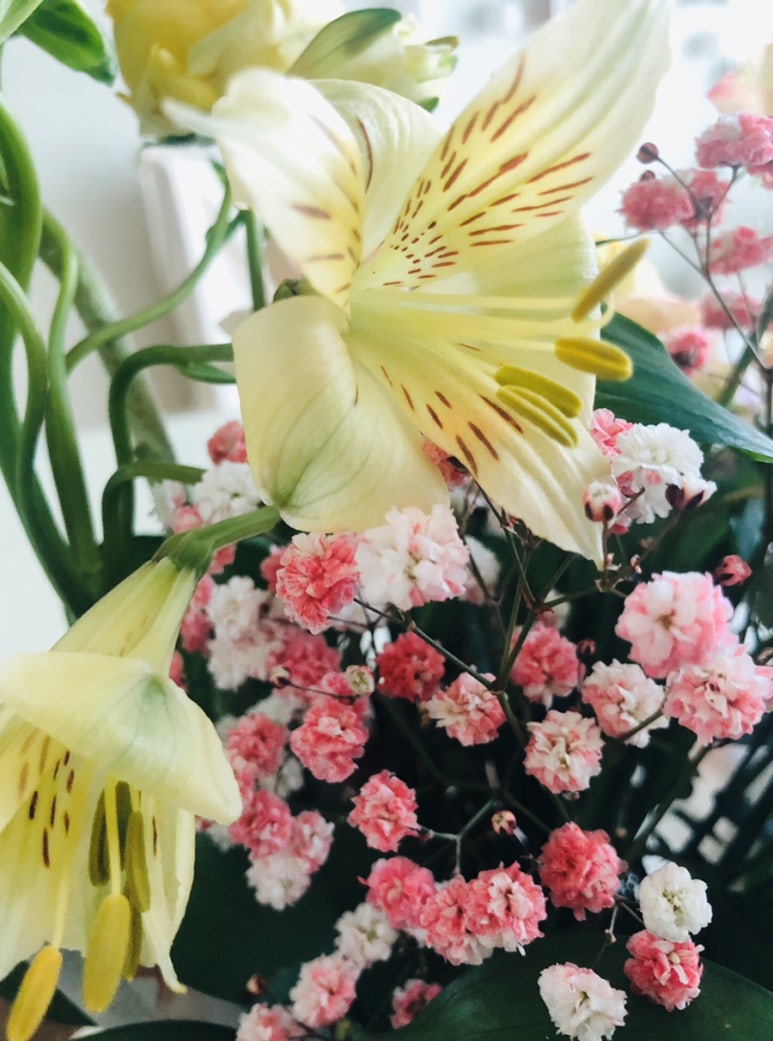 프리플라 이미지