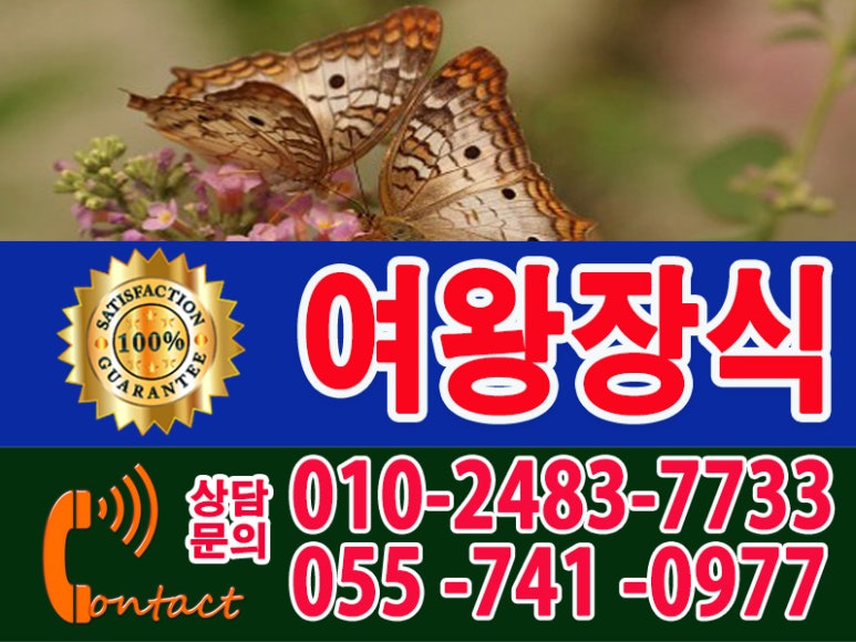 진주도배공사 이미지