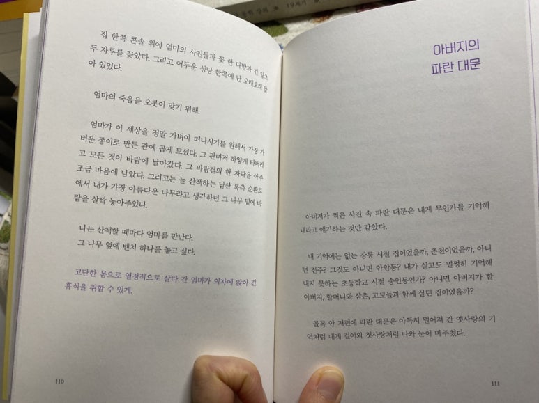 라라조이 이미지