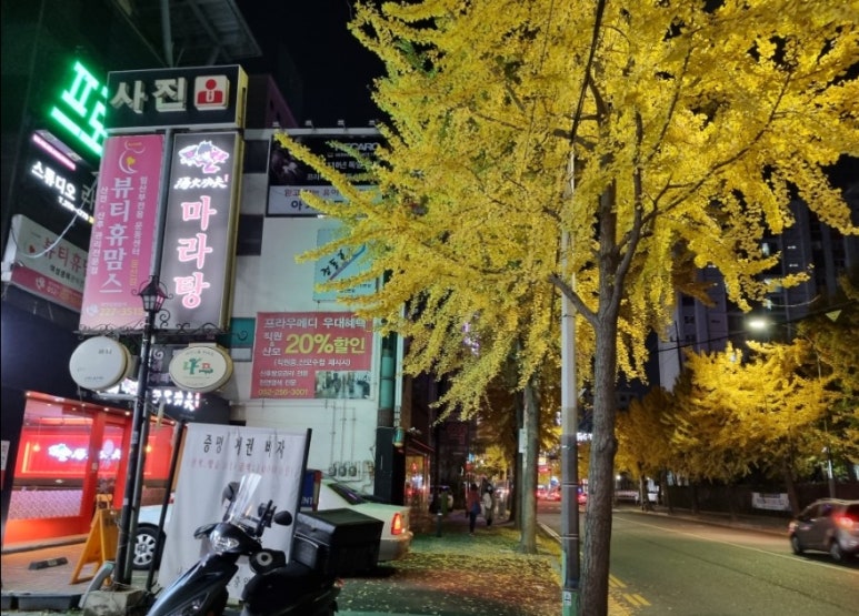 헤어오아오 이미지