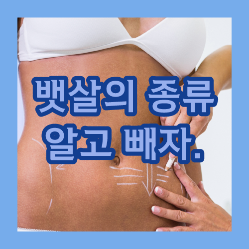 뷰티 엘 이미지