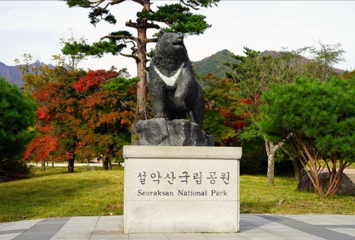 더테라피 이미지