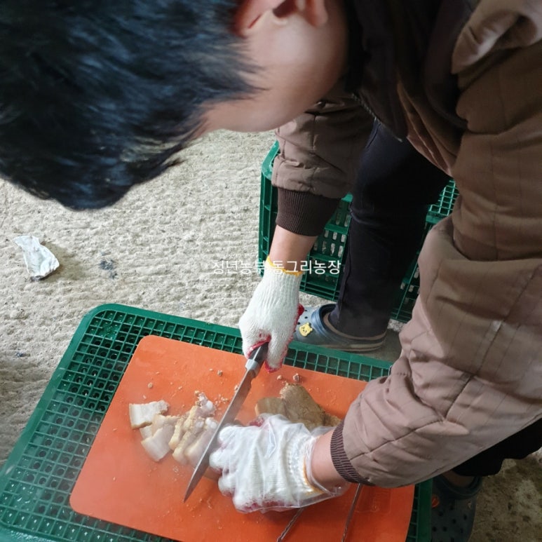 동그리농장 이미지