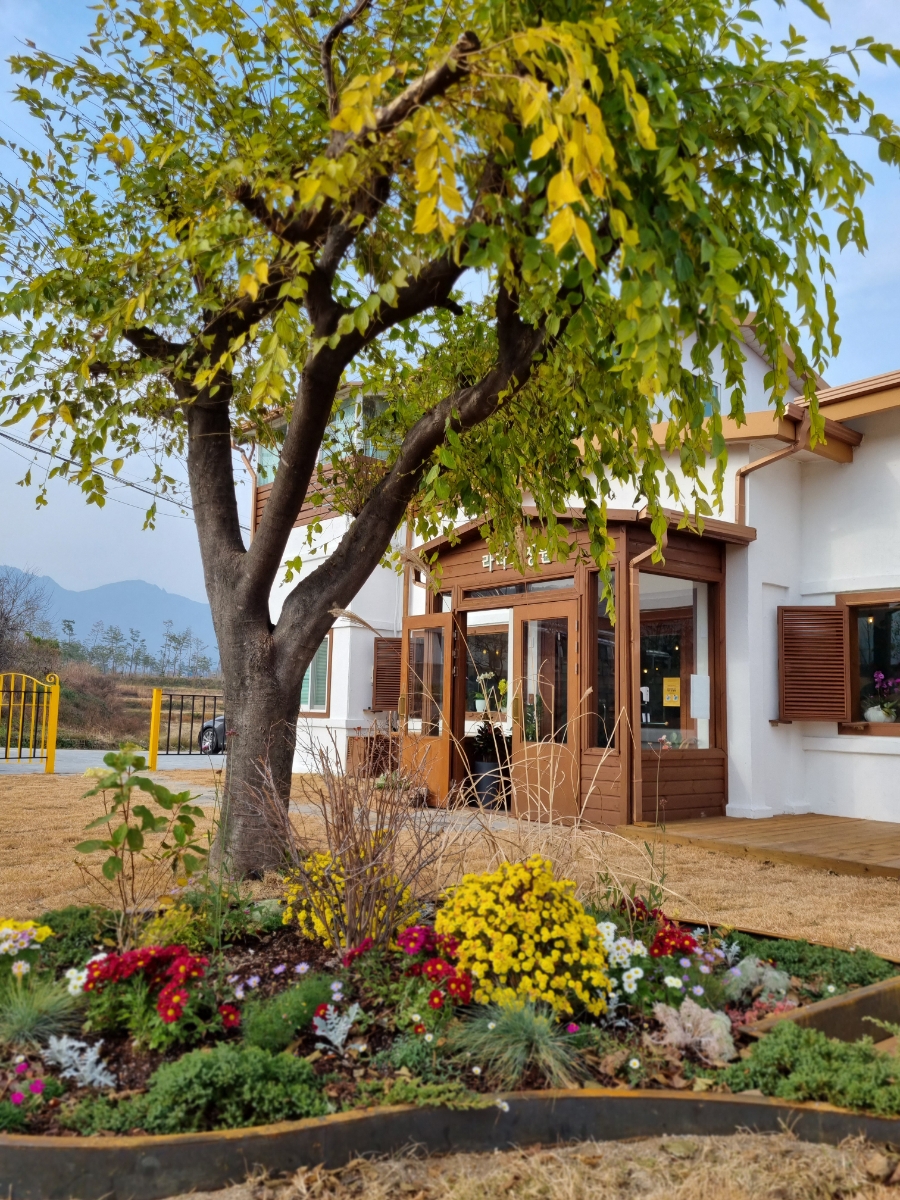 s Garden Cafe s-garden-cafe