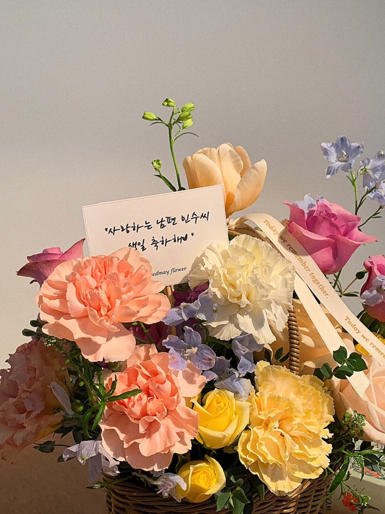 로즈드메 이미지