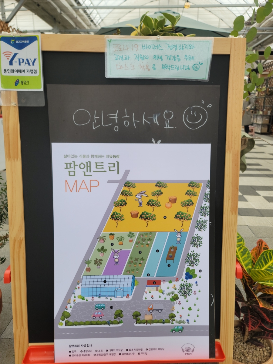 트리앤팜 이미지