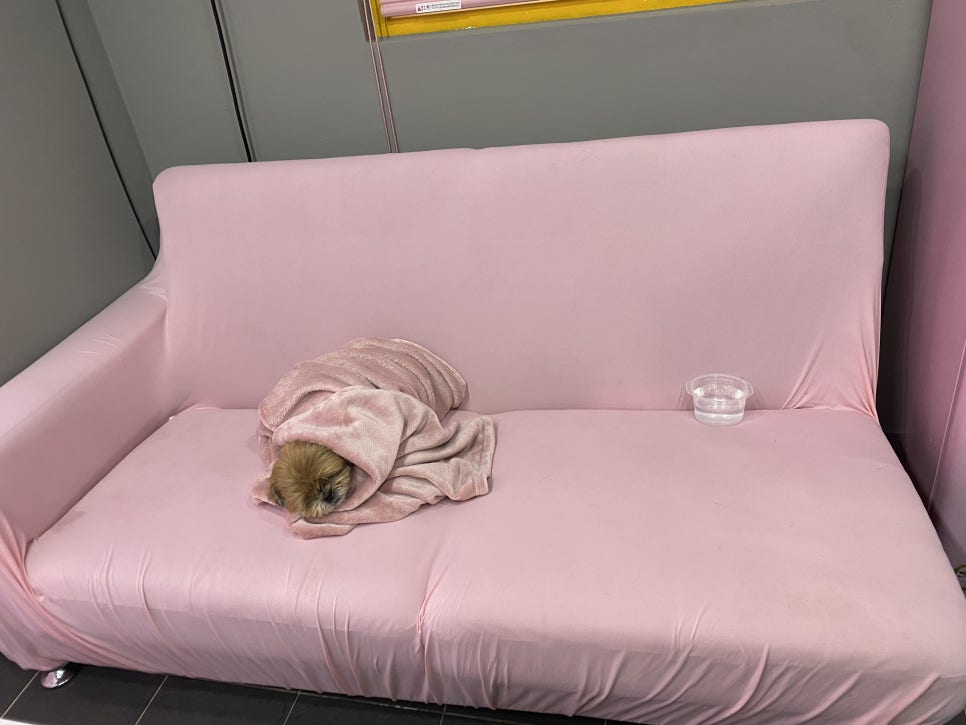 잇다 붙임머리 이미지