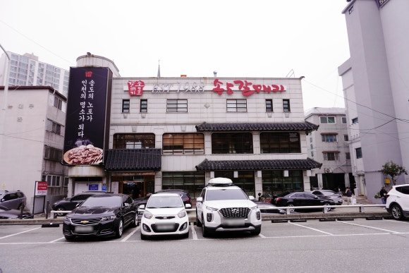송도갈매기 이미지