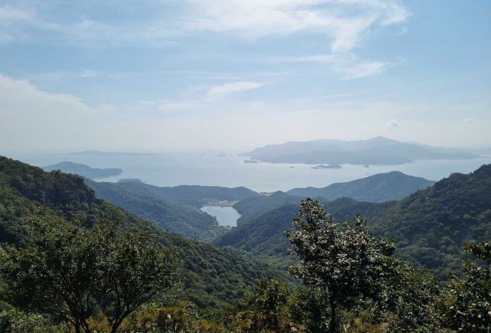 수진상회 이미지