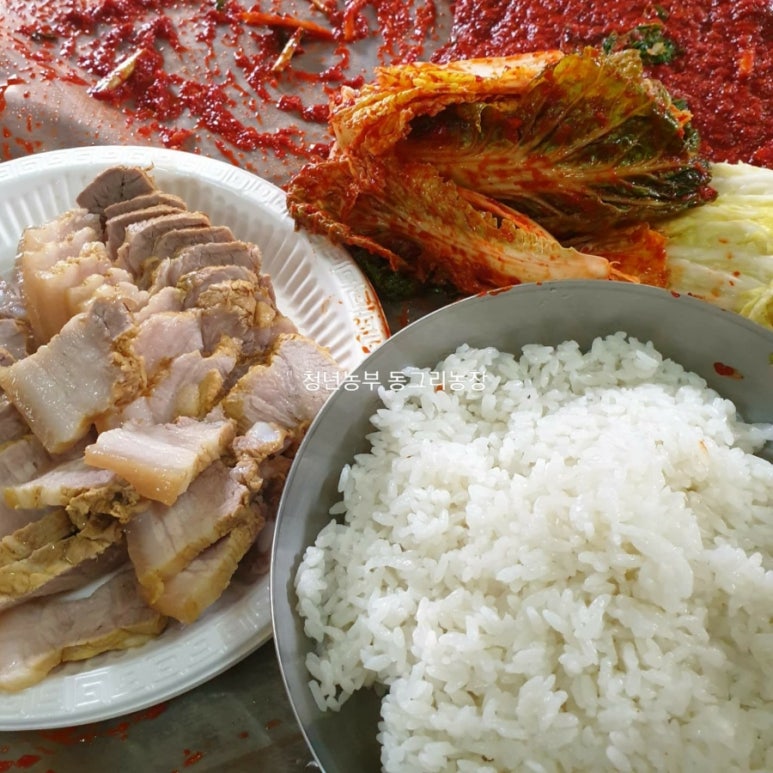 동그리농장 이미지