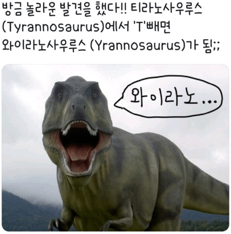네일마켓 이미지
