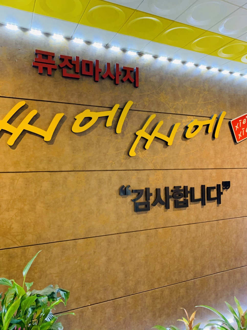 씨에씨에 이미지