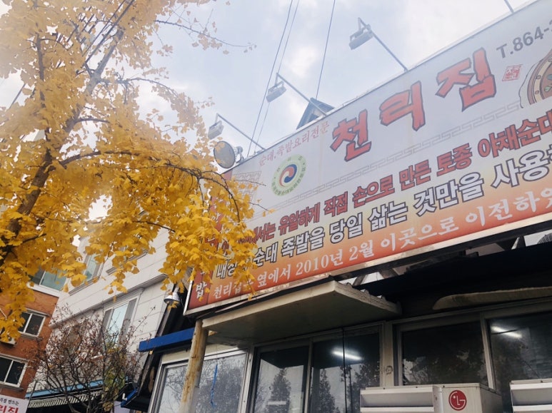 대전순대 이미지