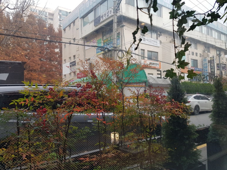 투썸플레이스관양현대점 이미지