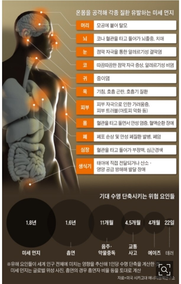 신나는점핑다이어트 이미지