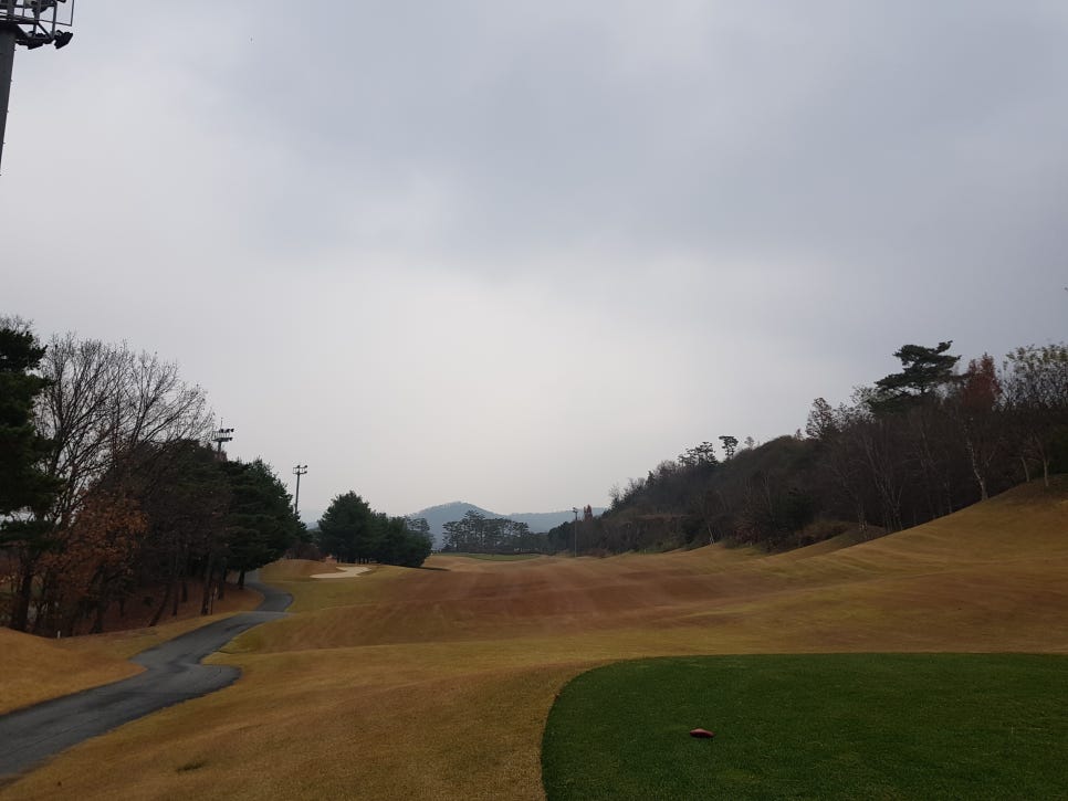 골프마루 이미지