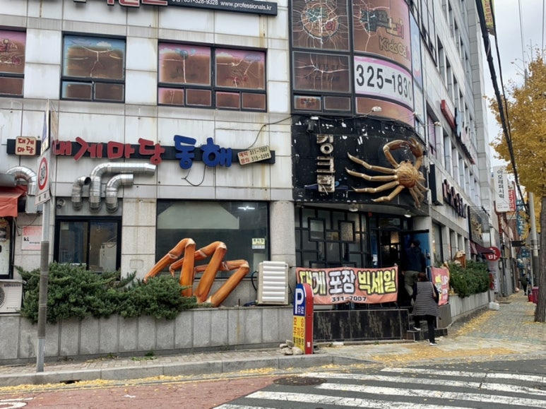 대게마당동해 이미지