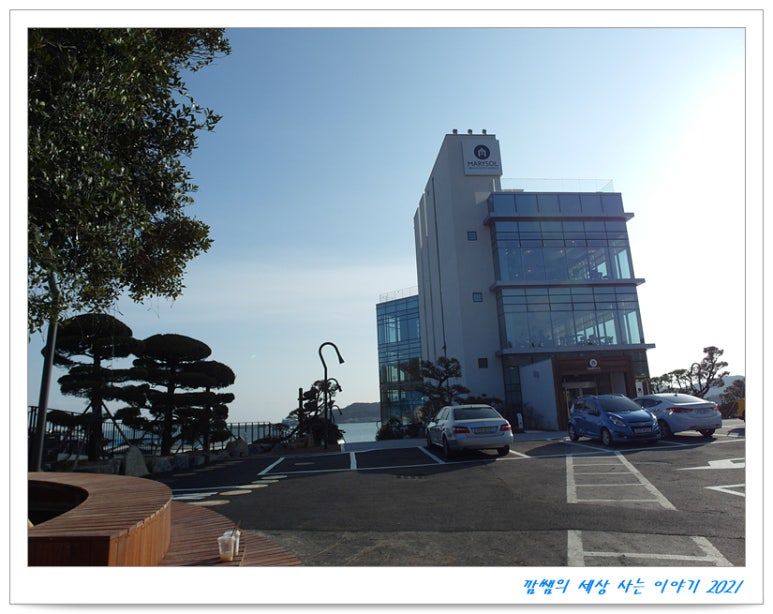 일광자전거 이미지