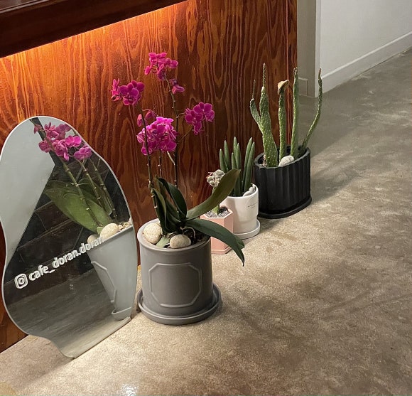 카페(CAFE)도란도란 이미지