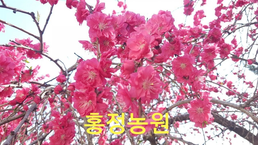 홍정시스템 이미지
