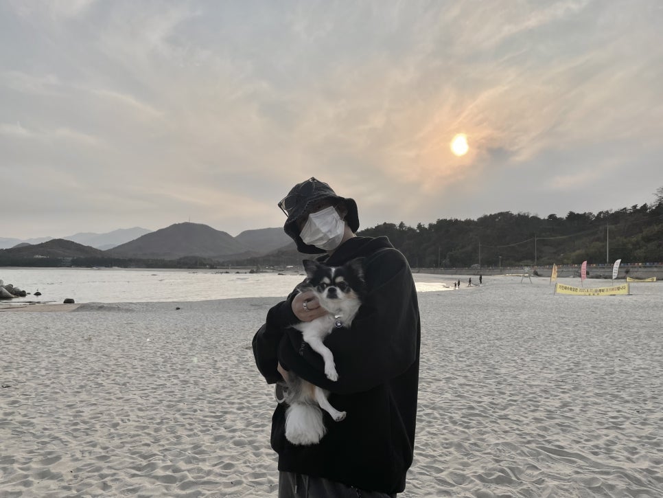 현진갤러리 이미지