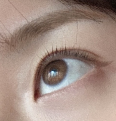 본뉴 이미지