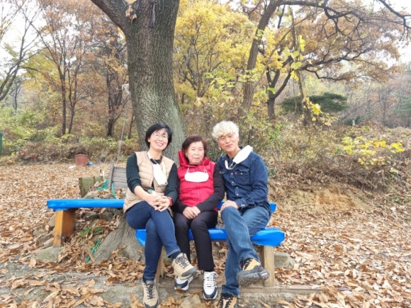대풍농원 이미지
