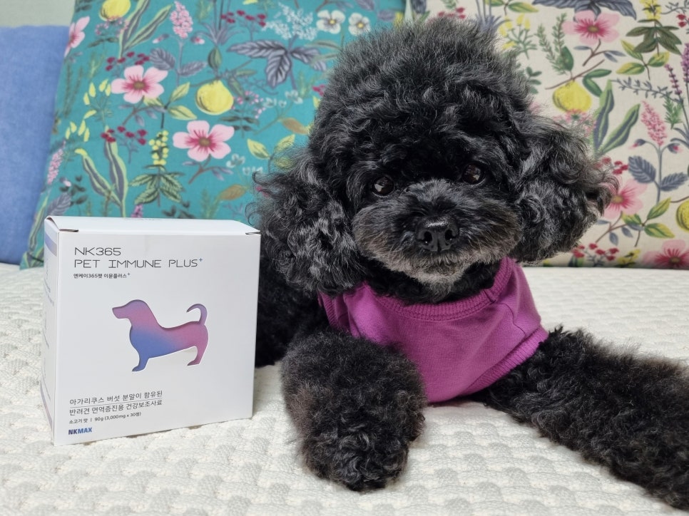 엔케이플러스 이미지