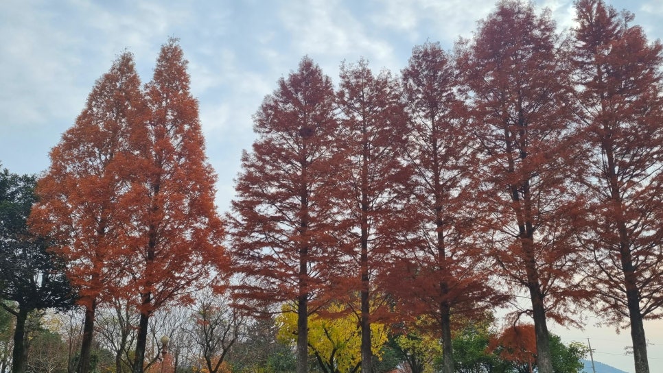 서종주 이미지