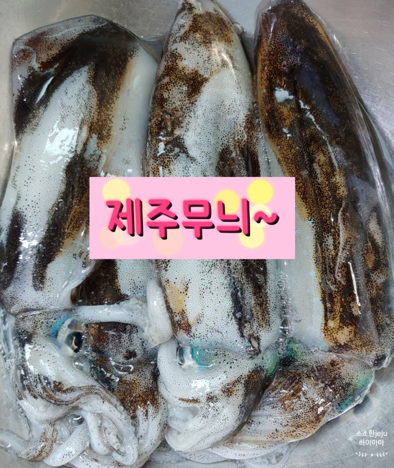 오징어아저씨 이미지