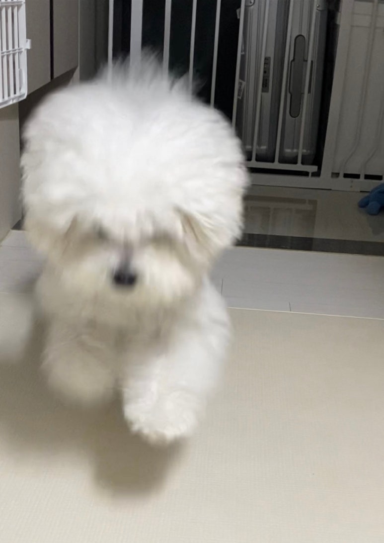 앵두미용실 이미지