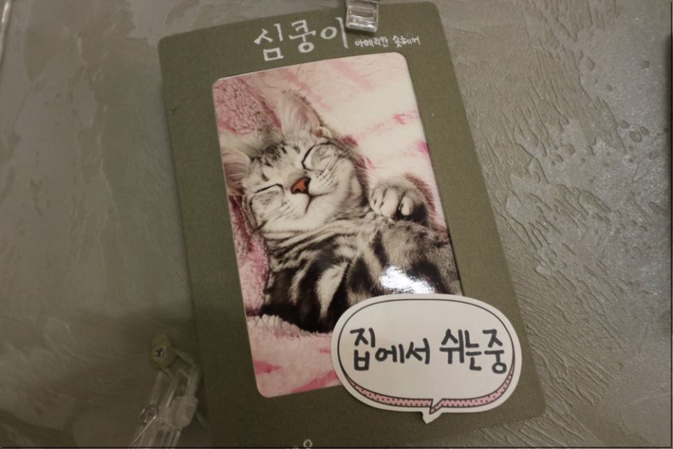 아가마미고양이카페 이미지
