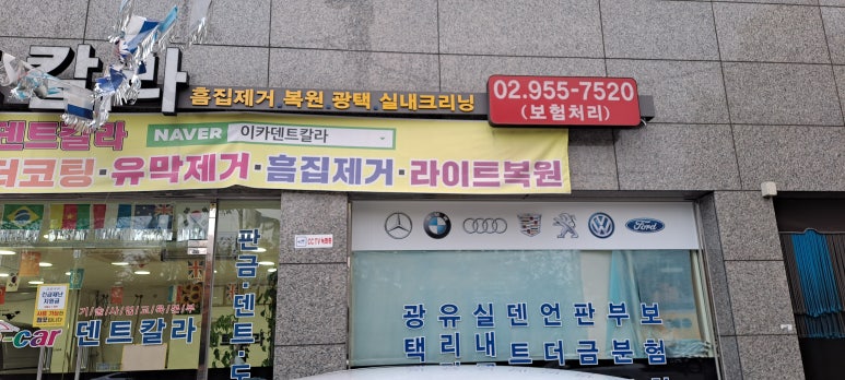 도봉덴트칼라 이미지