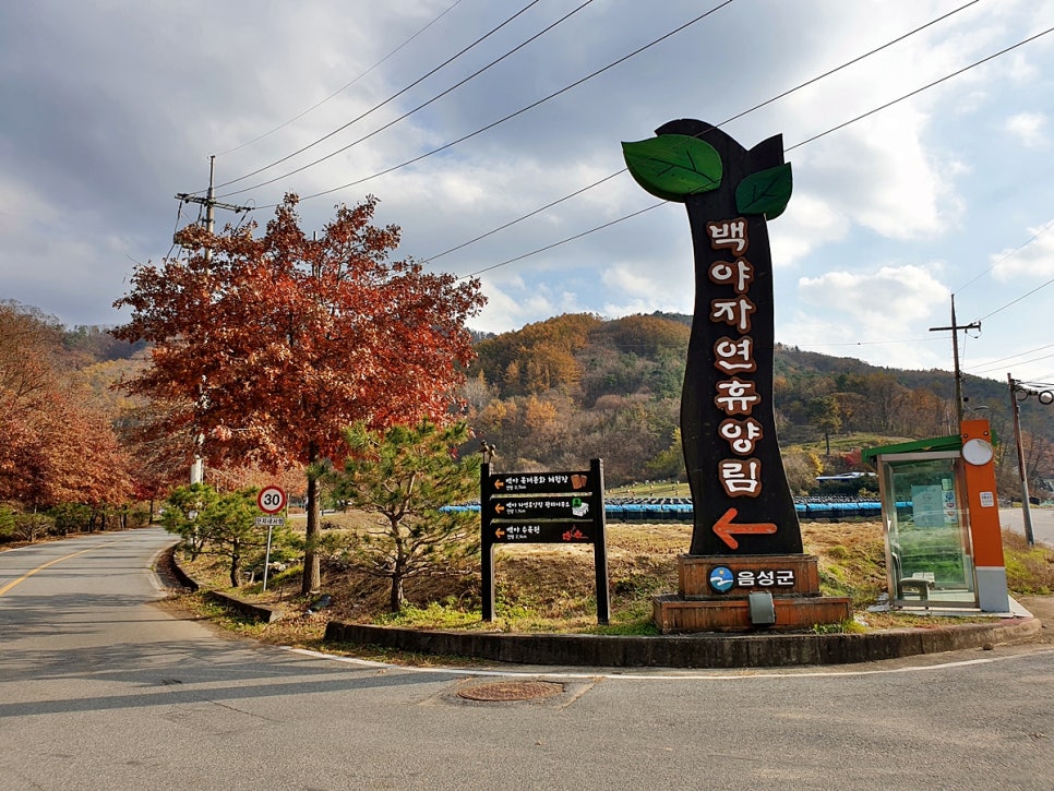 백야 이미지