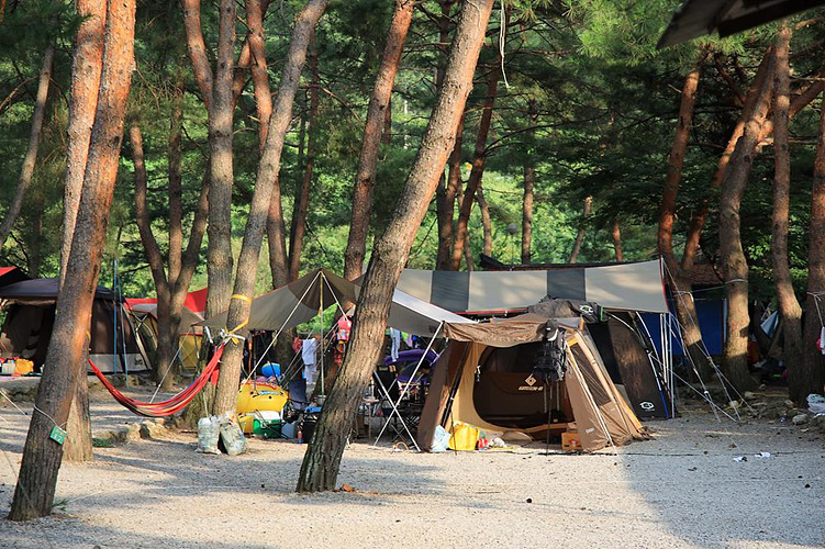내리계곡솔바람캠핑장 이미지