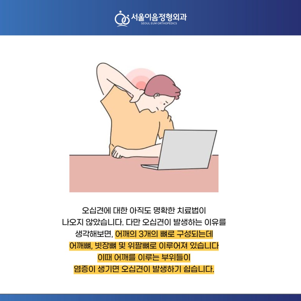 서울이음정형외과 이미지