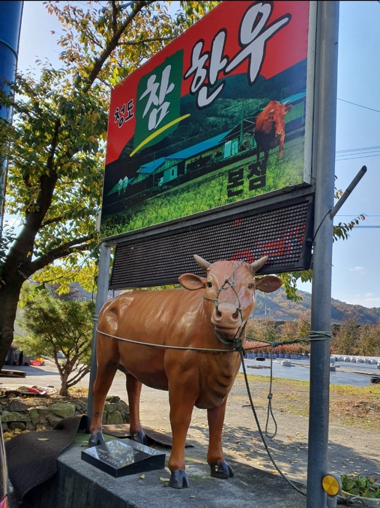 참좋은한우식육식당 이미지