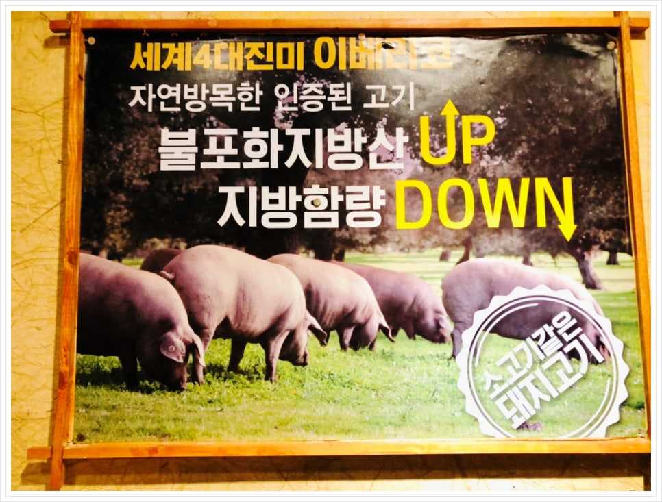 돈이요막창 이미지