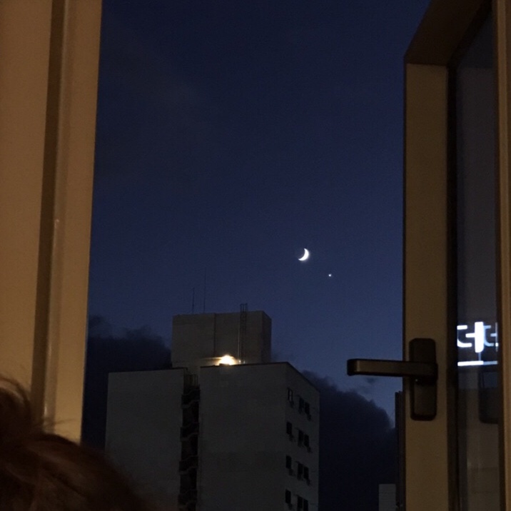 금성뒷고기 이미지