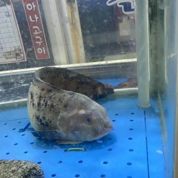 반도물산 이미지