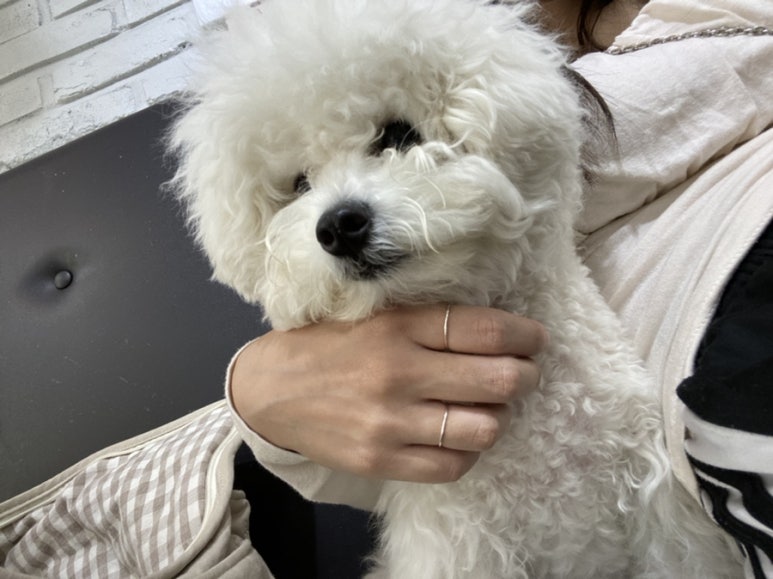 앵두미용실 이미지
