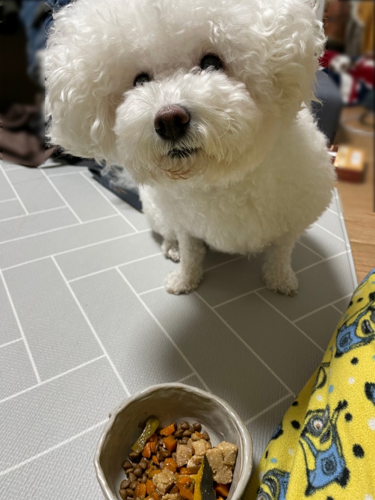 오아오멍 이미지