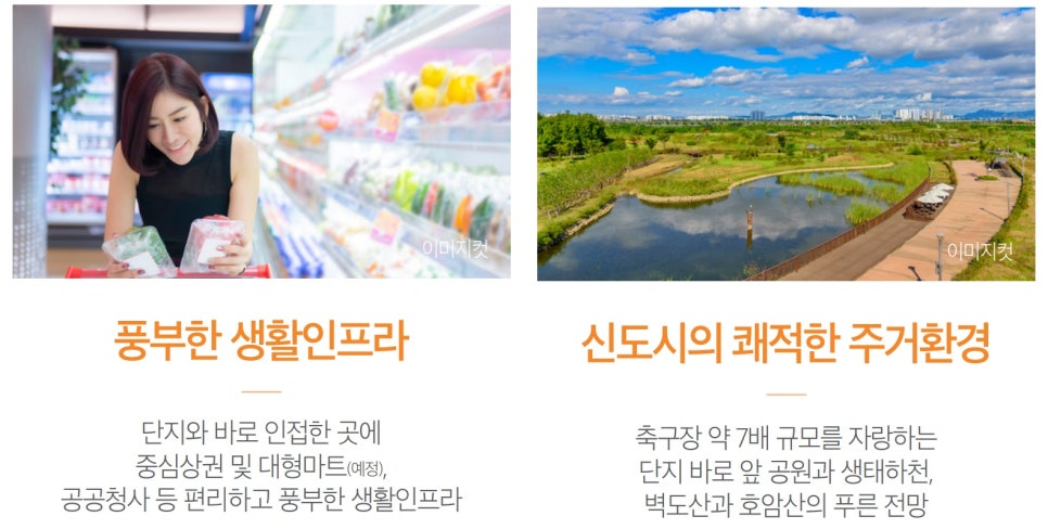 더줌마트 이미지