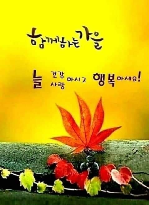 감꽃별아이들 이미지