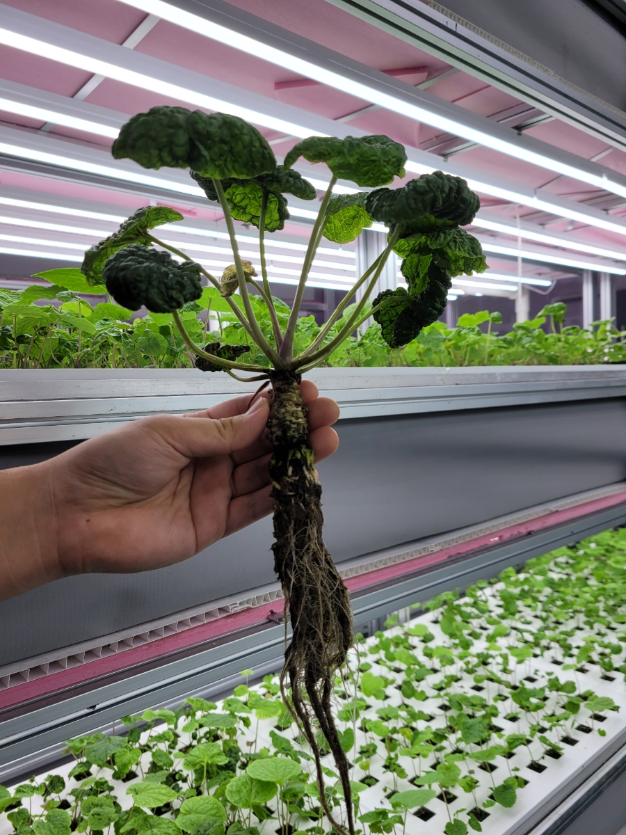 경진관광(주) 이미지