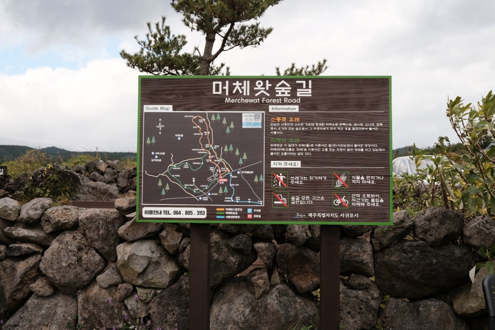 마체통 이미지