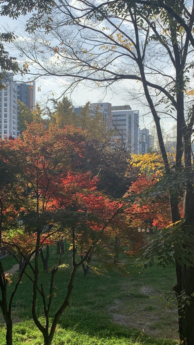 숭문중고등학교 이미지
