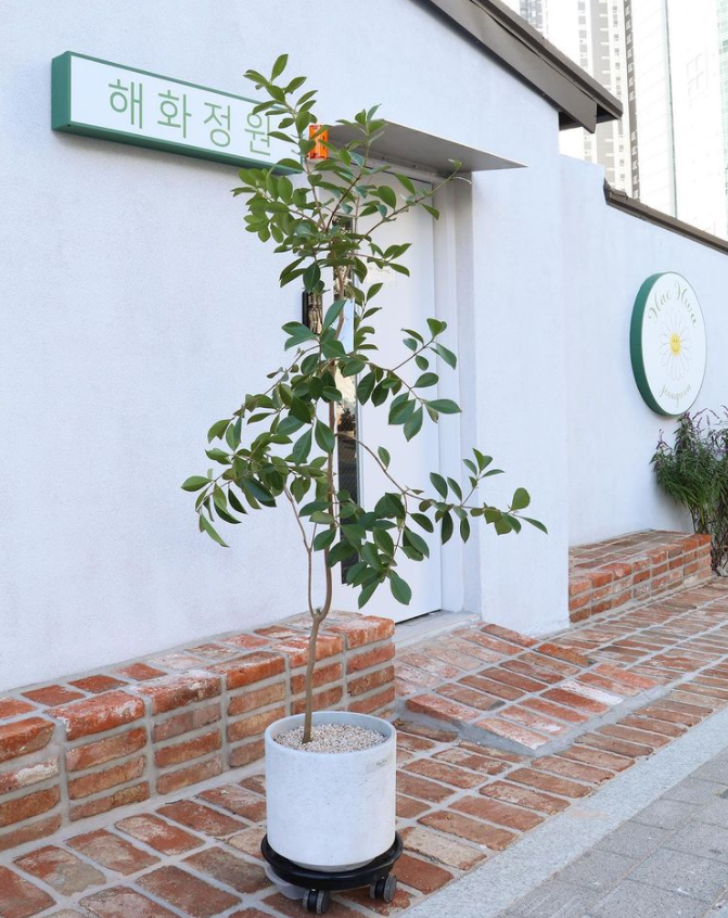 해화정원 이미지